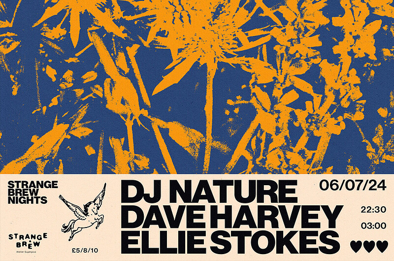 SB Nights: DJ Nature, Dave Harvey & Ellie Stokes at Strange Brew