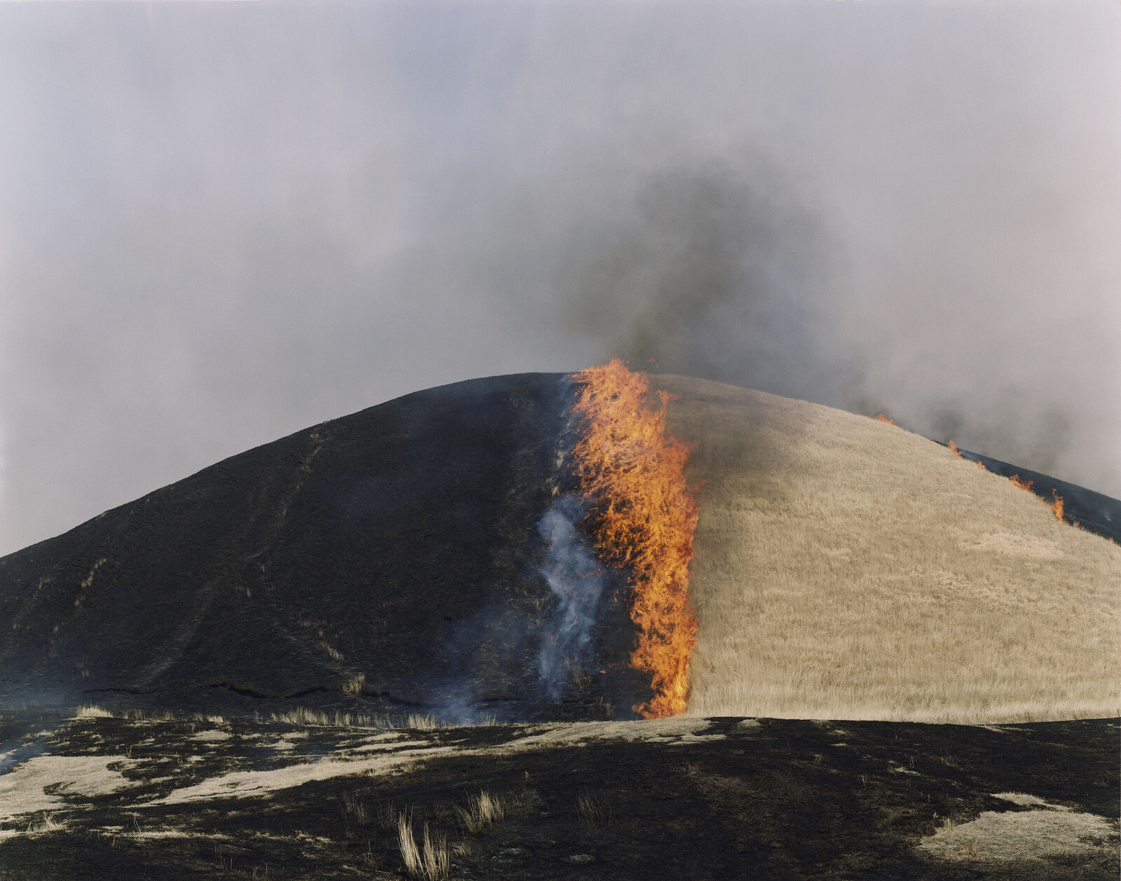 Audio Described Tours | Rinko Kawauchi at Arnolfini