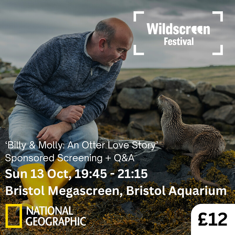 ‘Billy & Molly: An Otter Love Story’ + Q&A at Bristol Megascreen