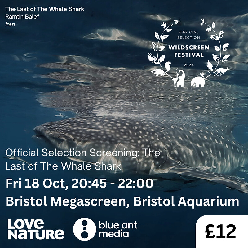 ‘The Last of the Whale Shark’ Film Screening at Bristol Megascreen