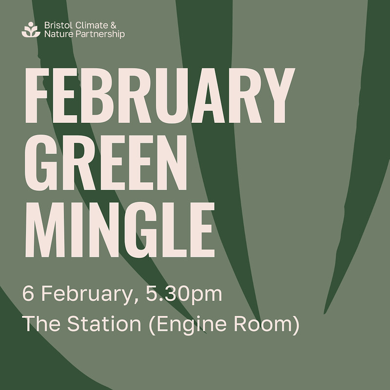 February Green Mingle - Youth & Green Skills at The Station