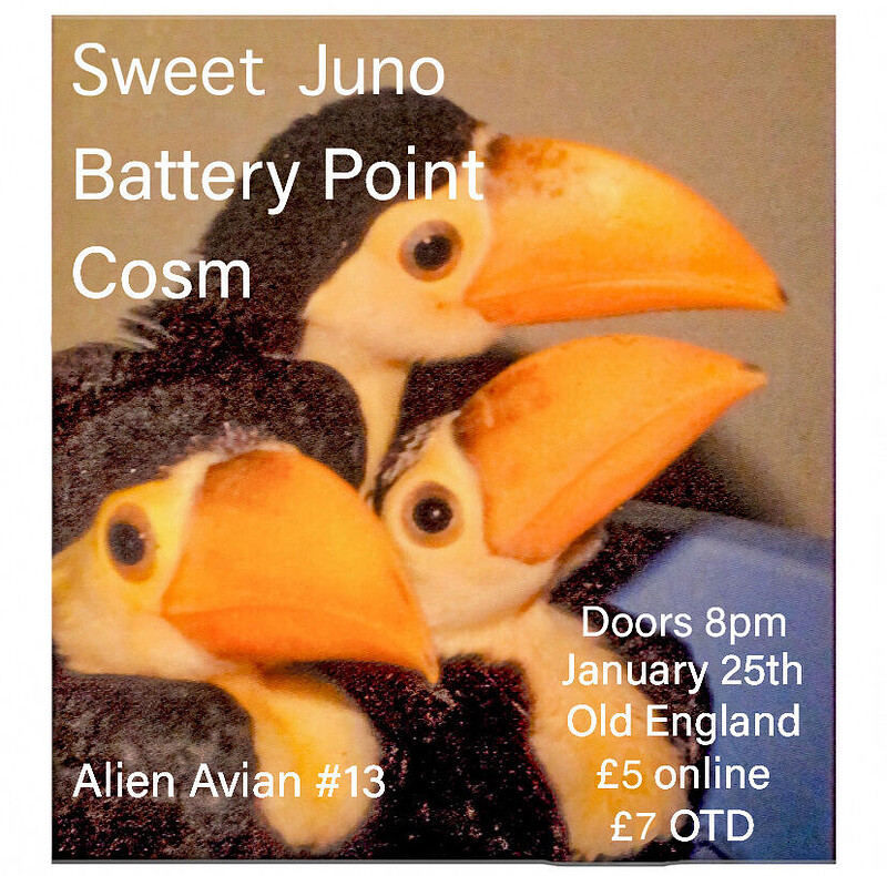 Sweet Juno, Battery Point, COSM at The Old England Pub