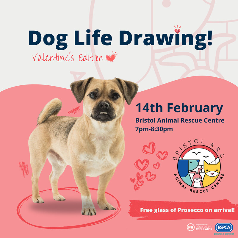 Dog Life Drawing - Valentine's Edition at Bristol Animal Rescue Centre