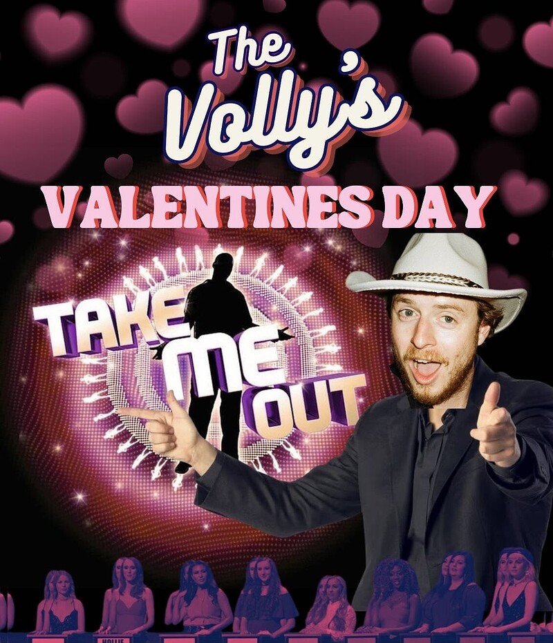 TAKE ME OUT at the Volly at Volunteer Tavern