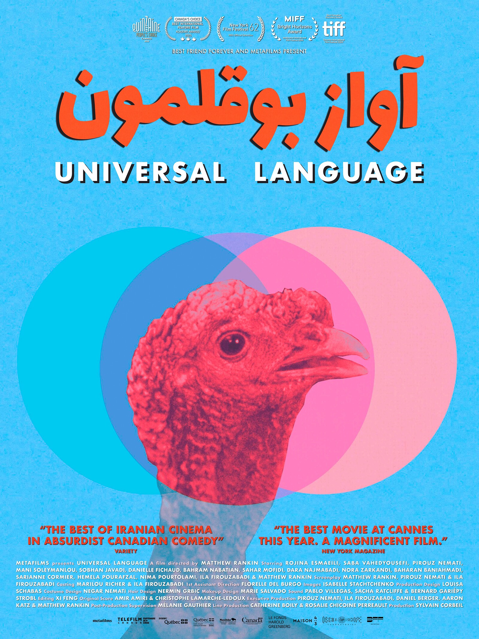 Universal Language - 18 TBA - 5pm at The Cube