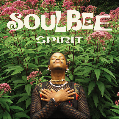 SOULBEE at 395