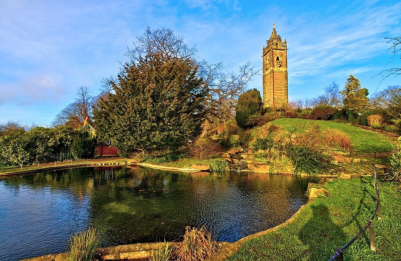 Brandon Hill Park wild food foraging tickets — £16 | Cabot Tower, Brandon  Hill Park, Bristol