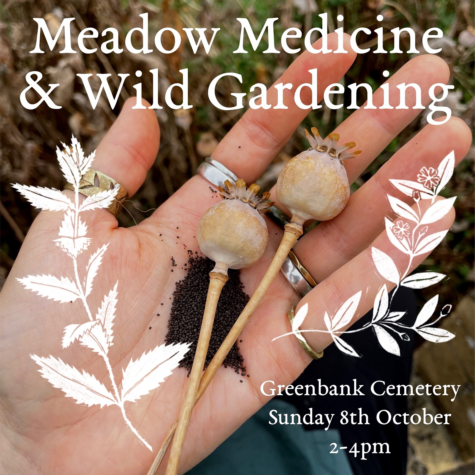 Creative Foraging: Meadow Medicine, Wild Gardening at Greenbank Cemetery