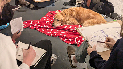 Life Drawing with Dogs - January Evening Class at KIT FORM