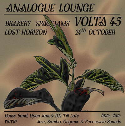 Analogue Lounge w/ Volta45 at Lost Horizon