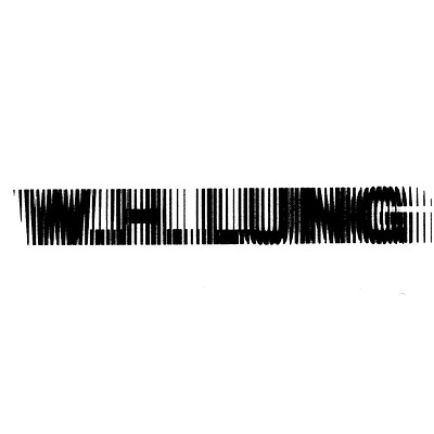 W. H. LUNG + PEM at Strange Brew