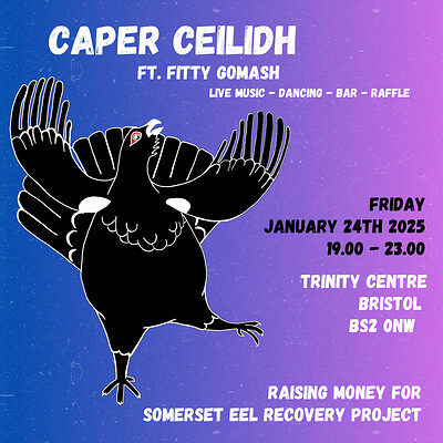 Caper Ceilidh at The Trinity Centre